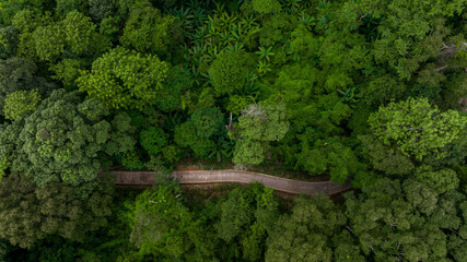 Aerial top view rural road in the green forest, Top view country road and green forest tree, Aerial...