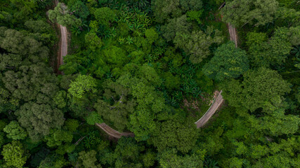 Aerial top view rural road in the green forest, Top view country road and green forest tree, Aerial...