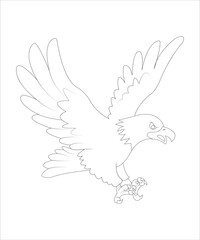 Eagle bird coloring book for adults vector