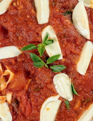 fettuccine in spring sauce with tomato sauce, cheese and basil