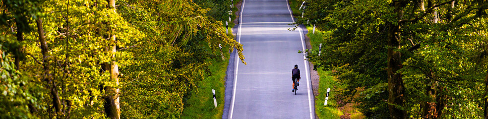 a bicyclist on a forest road panorama