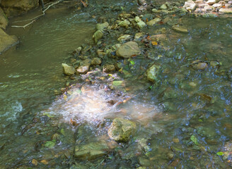 A shallow riverbed with a rocky bottom and shoals and fragments of stones