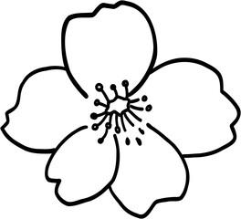 Doodle freehand drawing of cherry blossom flowers.	
