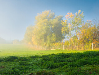 Fototapeta premium Sunny foggy landscape during autumn day