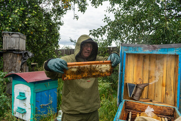 beekeeper holds in his hands honey frame with honeycomb.