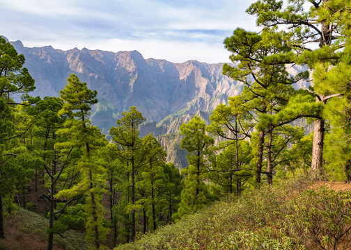 View from Mirador de la Cumbrecita in Caldera de Taburiente National Park on La Palma, Canary Islands, Spain.