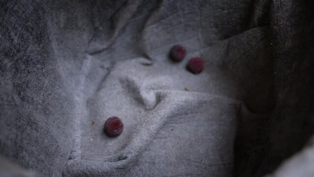 red bayberries