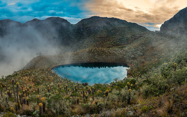 Lake or lagoon in the colombian paramo andean ecosystem. Landscape with frailejon, cloudy and...