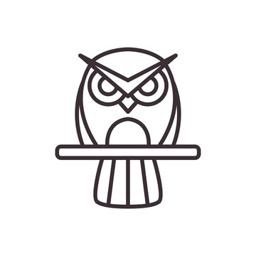 owl perched logo design vector image