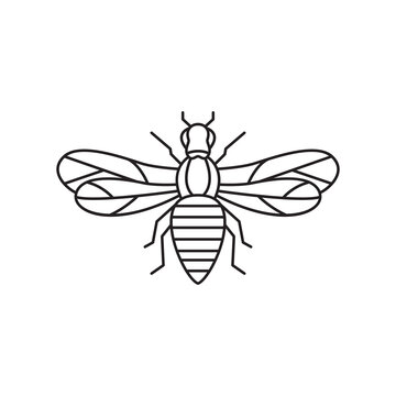 honey bee line logo design vector image