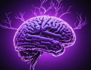 a man brain neuron with a glass transparent, visible organs inside, in neon violet style