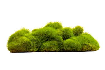 moss on rocks, stones isolated on transparent background, png file	
