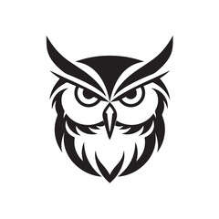 owl illustration, owl logo design, set vector illustrations