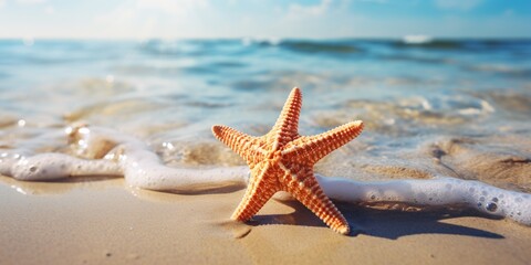 Fototapeta na wymiar Seaside scene with starfish in crystal ocean water, summer backdrop, ample room for relaxation.