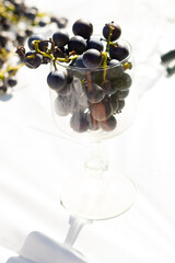 I love the look of these concord grapes all around and some sitting in the wine glass. The deep...