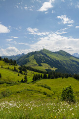 Obraz premium Typical alpine landscape in early summer near Damuls, Vorarlberg, Austria