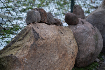 row of big granite boulders near fence, some small rocks on the boulders