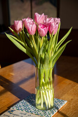 A spring greeting: a bouquet of 10 pink tulips (tulipa) with fresh green leaves in a glass vase on a blue and white patterned tile and wooden table