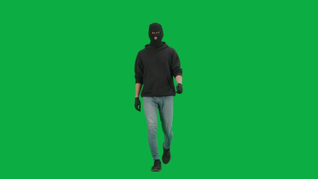 Portrait of thief on chroma key green screen background. Man robber wearing hoodie, jeans and black balaclava, walking getting ready for making a crime.