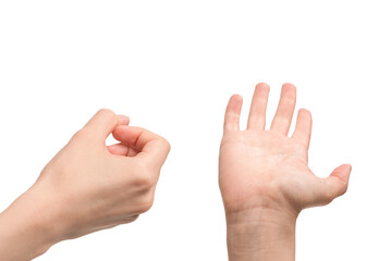 Woman hand isolated on a white background.