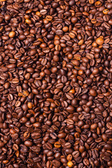 Coffee beans on a white background. Top view.