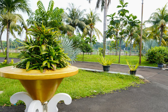 Garden view with lots of large pots and green plants around