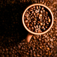 Overhead Close Up Studio Shot Of Roasted Coffee Beans In Cup Or Mug