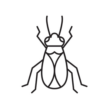 termite logo design vector image