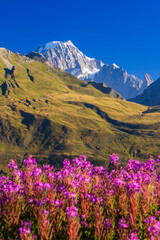 Landscape near Col du Petit-Saint-Bernard with Mont Blanc, on border France and Italy