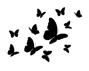 butterflies silhouettes set