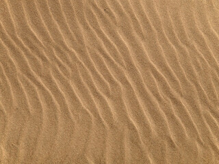 Wellenmuster in einem Sandstrand als Hintergrund - 702927061
