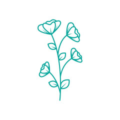 beauty flowers line logo design vector image