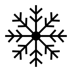 Winter snow flakes icon.
