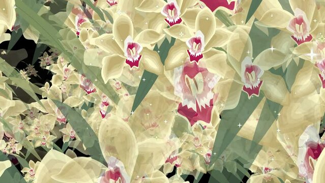 Orchid Flower Background. Good for anniversary, birthday, date, engagement, Wedding backdrop. Holiday, love,design For St. Valentine's Day, Mother's Day, greeting cards,  invitations or  e-card. 