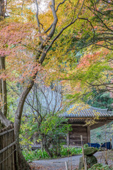 Obraz premium Japan snapshot