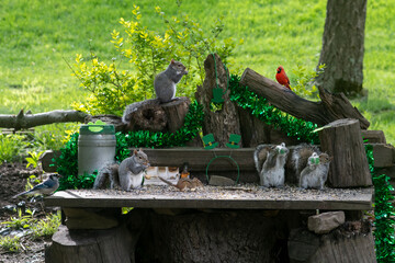 Drinking green beer on St Patrick's Day
