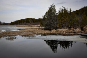 Icy cold lake in the woods