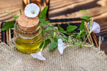 Convolvulus arvensis, or field bindweed near a medicine vial with a cork stopper with an elixir from an infusion of herbs.