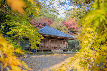temple autumn leaves in japan
