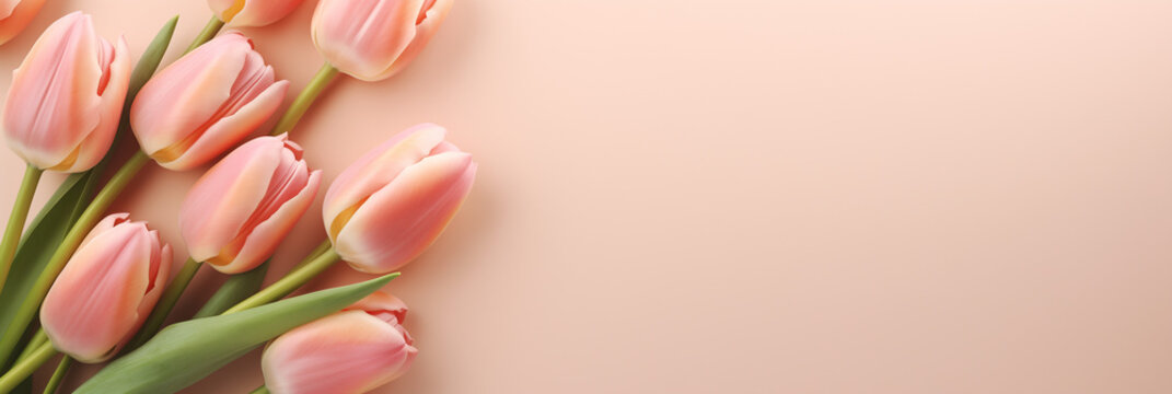 Pink tulip flowers on pastel peach background. Image for a wedding, women's day or mother's day themed greeting card or invitation. Banner with space for text