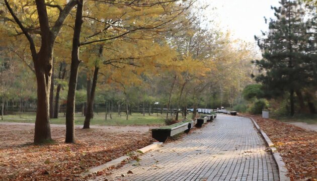 autumn in the park