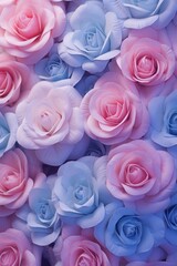 Rose cyan indigo pastel gradient background soft 