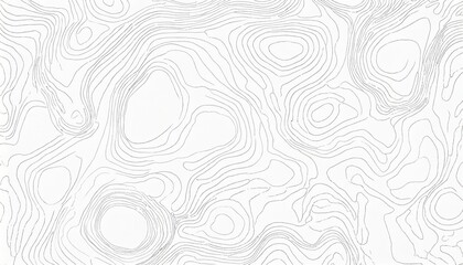 abstract blank detailed topographic contour map subtle white vector background topographic...