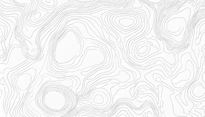 Gordijnen abstract blank detailed topographic contour map subtle white vector background topographic cartography topographic map topographic relief topography map topography relief © Art_me2541