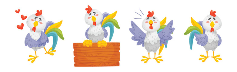 Funny Rooster or Cockerel Character in Different Pose Vector Set