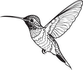 Hummingbird line art silhouette illustration design vector