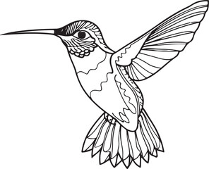 Hummingbird line art silhouette illustration design vector
