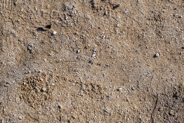 Detail of ground texture background with small stones