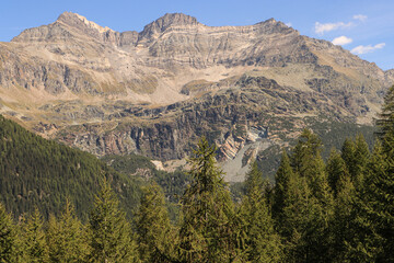 Wunderschönes Valmalenco; Blick von der Alpe Pirola auf die drei Gipfel im Nordosten: Piz Tremoggia (3440), Pizzo Malenco (3438) und Sassa d'Entova (3331)