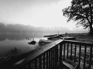 morning on the river